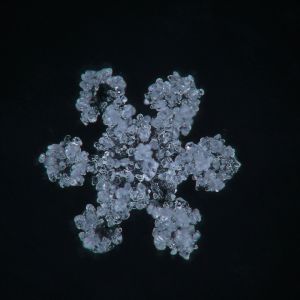 albissser_e_06.jpg